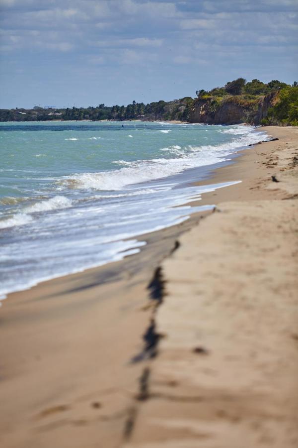 Corazon Guajiro Cabana Frente A Playa Solitaria En Dibulla Cerca A Palomino - Cabin In Front Of Solitary Beachs 外观 照片