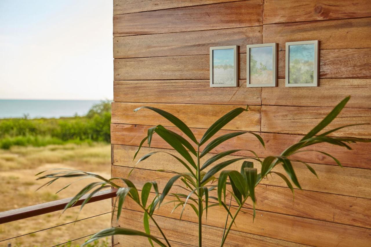 Corazon Guajiro Cabana Frente A Playa Solitaria En Dibulla Cerca A Palomino - Cabin In Front Of Solitary Beachs 外观 照片