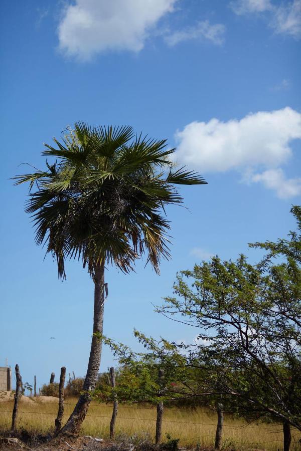 Corazon Guajiro Cabana Frente A Playa Solitaria En Dibulla Cerca A Palomino - Cabin In Front Of Solitary Beachs 外观 照片